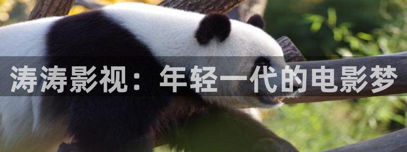 好看影院在线观看电影：涛涛影视：年轻一代的电影梦