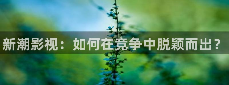 四虎好看影院