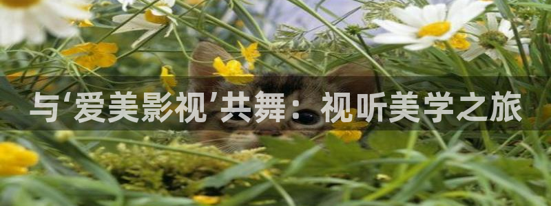 四虎好看影院